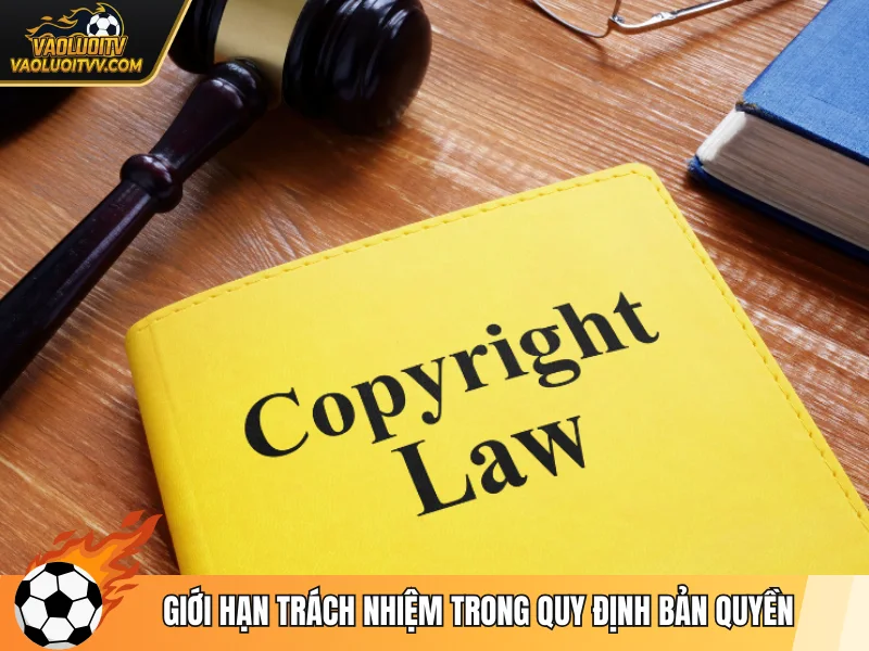 Giới hạn trách nhiệm trong quy định bản quyền