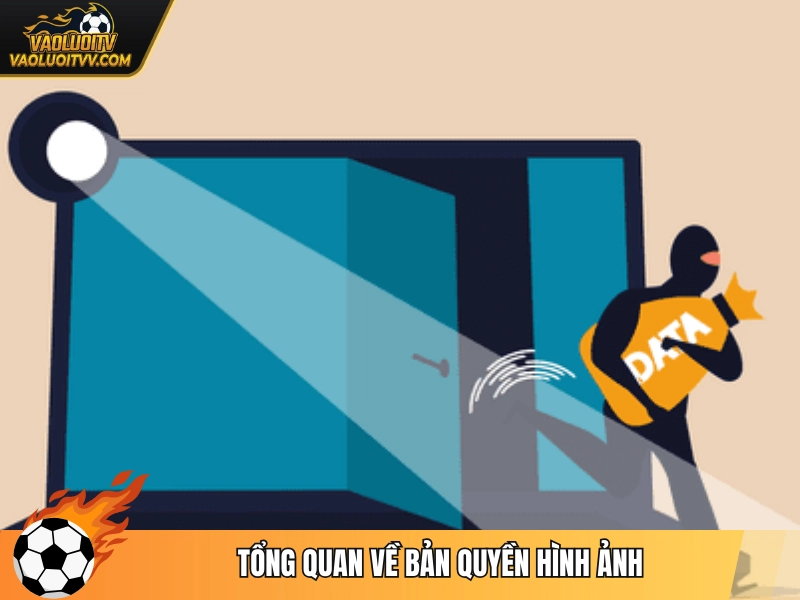 Tổng quan về bản quyền hình ảnh